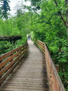 Linda Ballou Finds Corvallis, Oregon To Be Organically Charming, Energetic, Highly Walkable And Worthy Of Your Visit &Raquo; Boardwalk Findley Refuge 225X300 1
