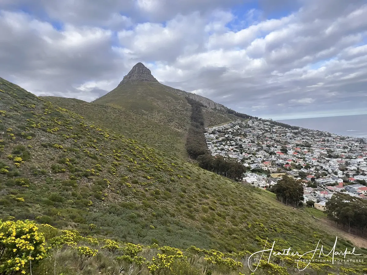 16 Great Activities To Do In Cape Town South Africa &Raquo; Img 4033