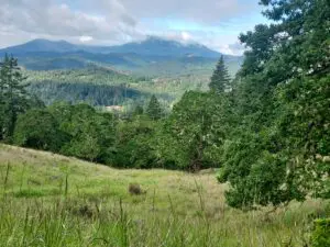 Linda Ballou Finds Corvallis, Oregon To Be Organically Charming, Energetic, Highly Walkable And Worthy Of Your Visit &Raquo; Vu Fitton Green Corvallis 300X225 1