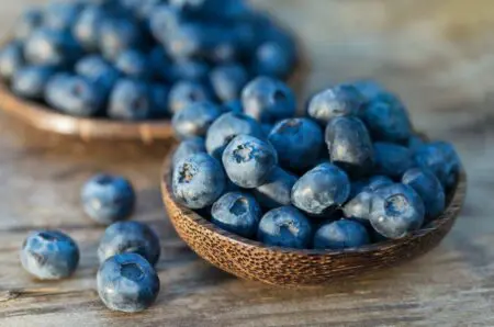Anti-Aging Superfoods Every Midlife Woman Should Eat Daily &Raquo; Nyawazn