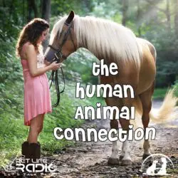 The Human-Animal Connection 74 The Three Blocks To Animal Communication With Paloma Baertschi &Raquo; 2D1858Cc1Beee0Da3Abb3Ca50C06E1Ac