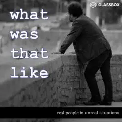 249: Elena'S Work Jet Crashed &Raquo; Copy Of Who Smarted Show Art 2