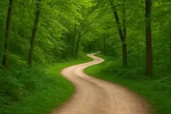 Accidental Twists Can Lead To A Life In Full Bloom &Raquo; Accidental Twists In Life 350X233 1
