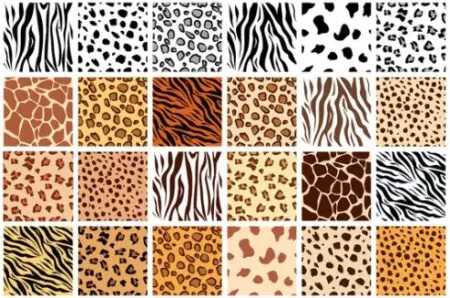 Promising Fall Fashion Trends 2025 On A Budget &Raquo; Animal Prints