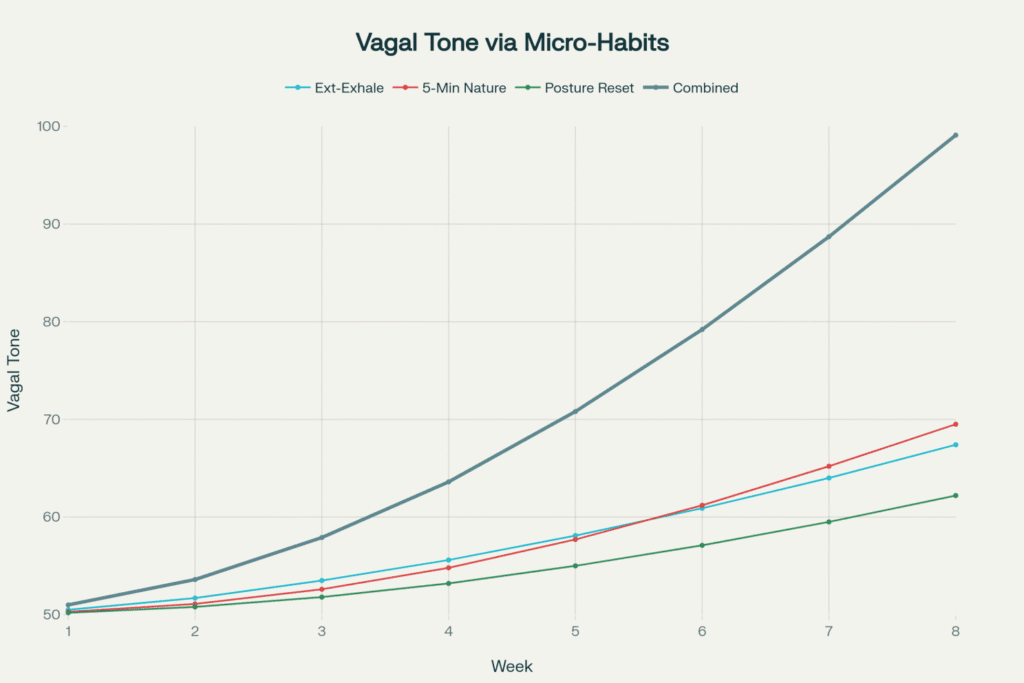 Training The Vagus Nerve: Micro-Habits That Turn Daily Stress Into Unstoppable Resilience &Raquo; 1754502276868 1024X683 1
