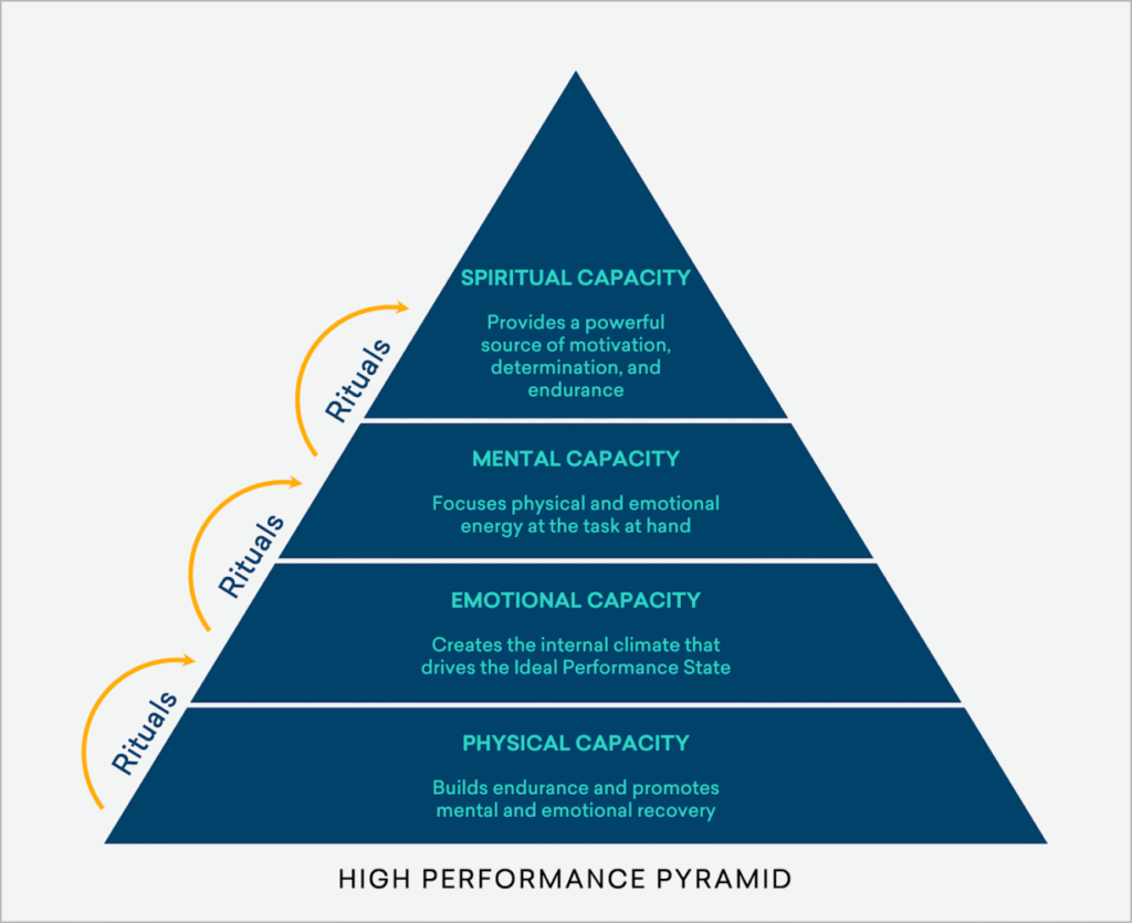 The Paradox Of Excellence: Why High Performers Need Coaches More Than Anyone Else? &Raquo; 1757365634085 1024X835 1