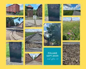 Travelogue Krakow &Amp; Auschwitz – Birkenau September 2025 &Raquo; 2 300X240 1