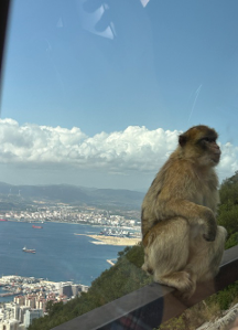 Are You Ready To Share Your Secrets And Publicize? &Raquo; Monkey