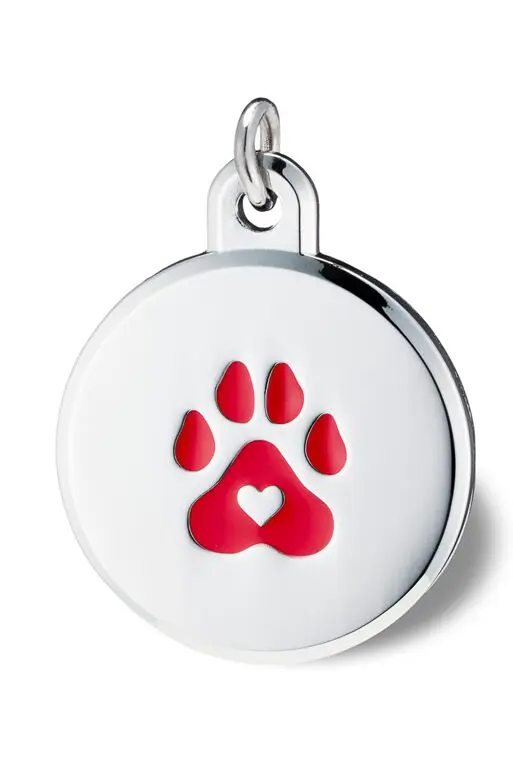 Dog Shelters: Giving Your Pet The Best Chances &Raquo; Pic 2 1