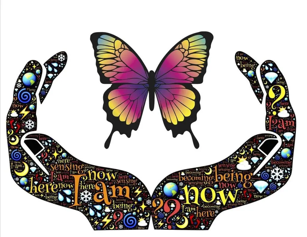 Vital Lessons From Our Veterans For Business Growth &Raquo; John Hain Butterfly Be 511555 1280 1024X791 2