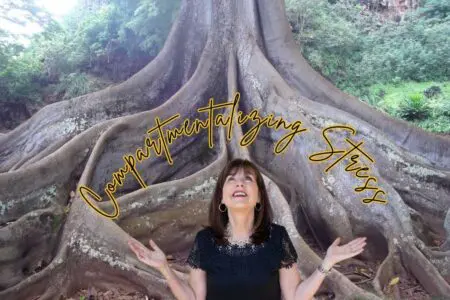 Compartmentalizing Stress &Raquo; Compartmentalizing Stress Deborah Johnson