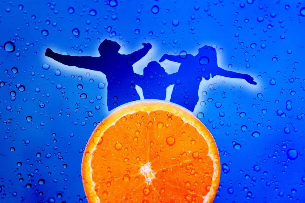 Handling Life Mysteries Is The Success Differentiator &Raquo; Geralt Orange Family 7339374 1280 1024X682 2