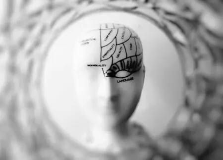 The Rationality Myth: 5 Shocking Reasons Logic Fails Most Leaders &Raquo; Pexels Xespri 724994 1 Scaled 1