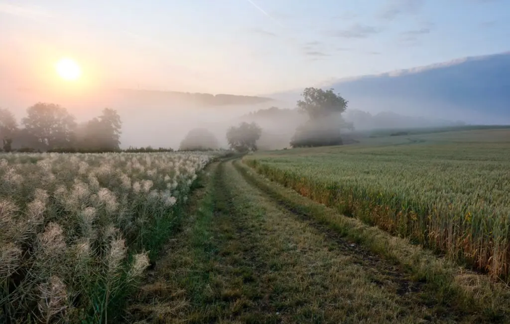 Standing At The Threshold Of What’s Next &Raquo; Sunrise 8100147 1024X652 2