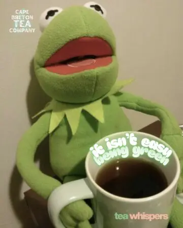 Matcha Madness &Raquo; Tea Whipers 1 819X1024 1