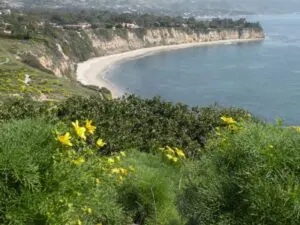 In A Malibu State Of Mind, Linda Ballou Shares The Amazing Tale Of May Rindge, The “Queen Of Malibu,” &Amp; Other Reasons Why You Should Visit &Raquo; Malibu Riviera Below Point Dume Linda Ballou 300X225 1
