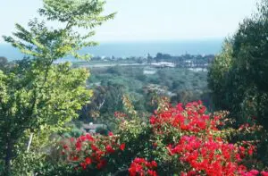 In A Malibu State Of Mind, Linda Ballou Shares The Amazing Tale Of May Rindge, The “Queen Of Malibu,” &Amp; Other Reasons Why You Should Visit &Raquo; View Of Malibu From Serra Retreat 300X197 2