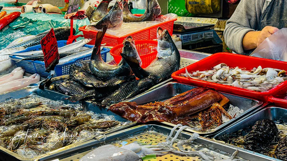 Fish At Beitou Market