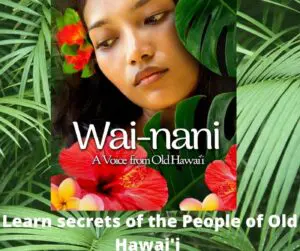 A Rare Chinese Astrological Event, The Year Of The Fire Horse, Is Galloping Toward Us: Equestrian Linda Ballou Says, “Let The Adventure Begin!” &Raquo; Learn Secrets Of The People Of Oldh Hawaii 1 300X251 1