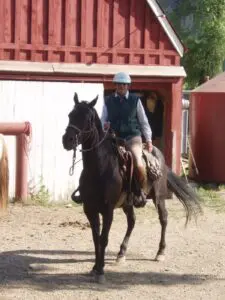 A Rare Chinese Astrological Event, The Year Of The Fire Horse, Is Galloping Toward Us: Equestrian Linda Ballou Says, “Let The Adventure Begin!” &Raquo; Linda At Guest Ranch Jackson Wyoming 225X300 1