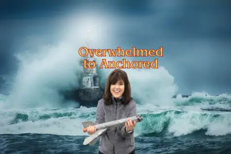 From Overwhelmed To Anchored &Raquo; Overwhelmed To Anchored Deborah Johnson