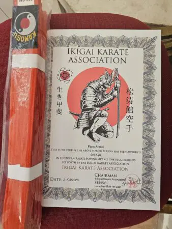 10 Benefits Of Learning Karate Later In Life (Or Any Time) &Raquo; 1C Sgusre9F6Carofrm5Ziw