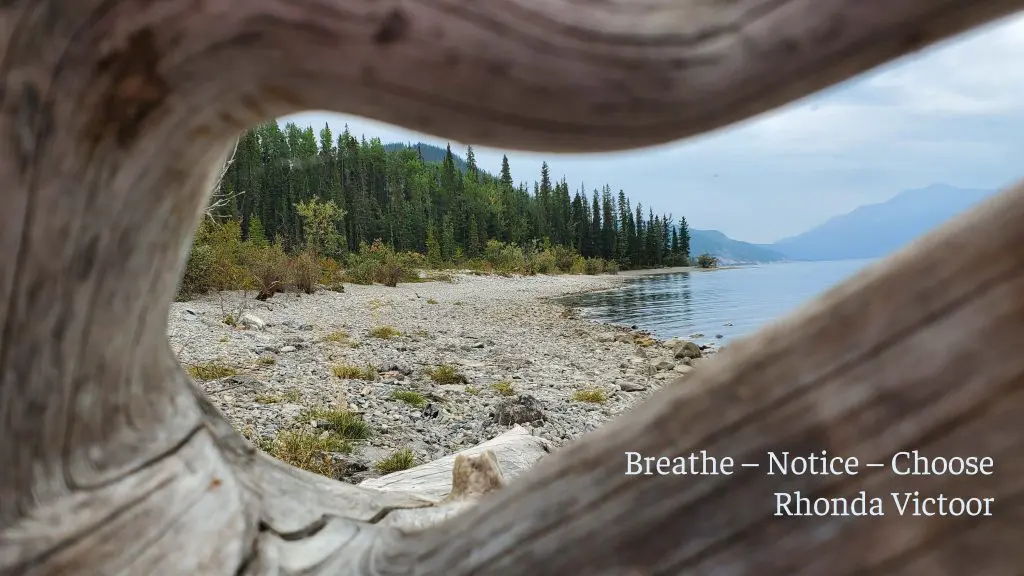 Photography By Sharon K. Summerfield. Thought By Rhonda Victoor