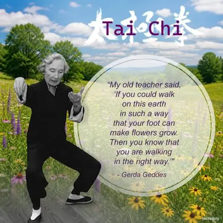 Cultivating Wellness Outdoors: Tai Chi, Nature, And The Power Of Community &Raquo; Gerde Geddes