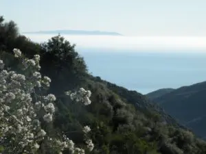 Linda Ballou Offers A Toast To Her Beloved Topanga Town In California’s Santa Monica Mountains &Raquo; View Topanga State Park 300X225 1