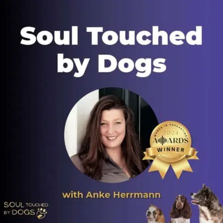 Holistic Dog Health Beyond Symptoms And Pills With Dr. Jeff Feinman &Raquo; Ymzjzc5Qcgc