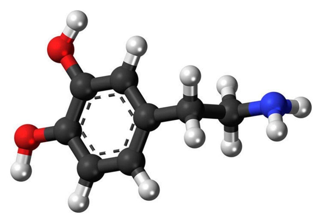 Pioneering New Study On Dopamine And Stress &Raquo; Blog17