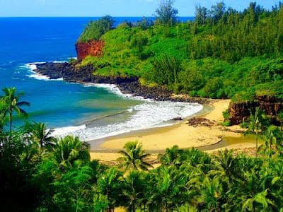 Kauai Island Hawaii Usa &Raquo; Beachalertongardensy