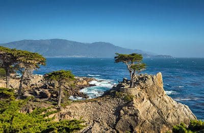 Carmel-By-The-Sea &Amp; Big Sur, California, Usa &Raquo; California Monterey 17 Mile Drive