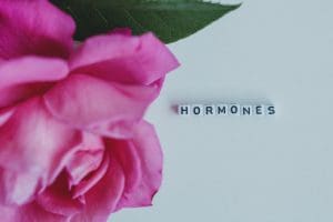 What’s Going On With My Hormones? &Raquo; Hormones