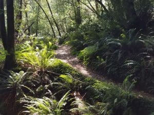 Road Trip!! Linda Ballou Says Now’s The Time To Cool Your Jets On The Southern Oregon Coast &Raquo; Loeb River Walk Brookings 300X225 1