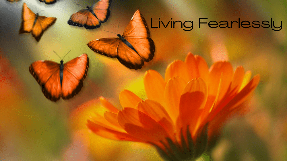 Living Fearlessly &Raquo; File 18