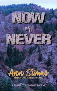 An Interview With Ann Simas, Author Of Now Or Never &Raquo; Ann Simas Now Or Never Digi Cover 5 23 22