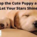 Drop The Cute Puppy And Let Your Stars Shine &Raquo; Drop The Cute Puppy And Let Your Stars Shine 150X150 1