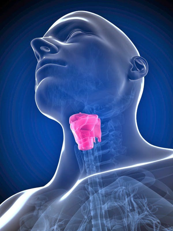 Raising And Lowering The Larynx - Should You? Updated 2022 &Raquo;