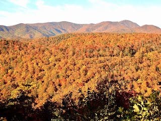 Breathtaking Fall Leaves Foliage Asheville Blue Ridge Mountains