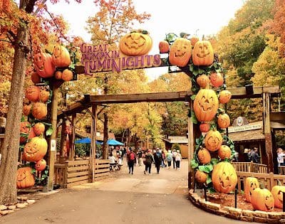 Dollywood During Fall Harvest Festival