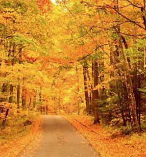 Roaring Fork Motor Nature Trail Gatlingburg