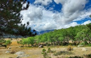 Linda Ballou Experiences The Beauty Of “Falldorado” In The Front Range With Isabella Bird &Raquo; Moraine Park Rmp 300X191 1