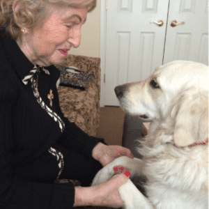 Dogs & Older Adults: A Magical Connection » Insta Posts 2022 Q2 9 480x480