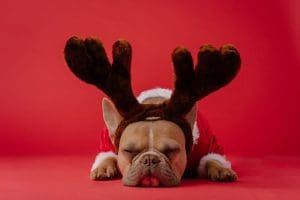 Combatting Holiday Stress: Simple Tips &Raquo; Karsten Winegeart Nck Pb0Lll8 Unsplash