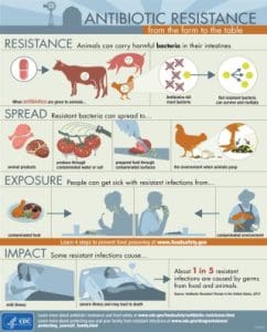 What’s Antibiotic Resistance And What You Can Do About It &Raquo; 6A00E550081576883402Af148E4039200C 320Wi