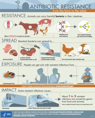 Antibiotic Resistance Chart