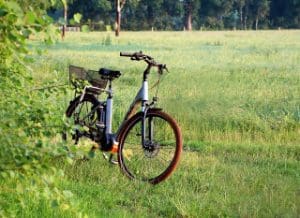 Safety Of E-Bikes For Kids Comes Under Scrutiny &Raquo; 6A00E550081576883402B75195B62F200C 320Wi