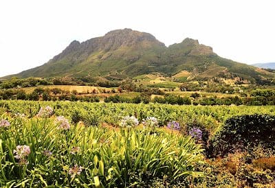 Stellenbosch Cape Winelands Wine Region, South Africa &Raquo; Beautifullandscapex