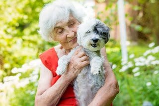 5 Plus Tips For Dealing With Your Aging Loved One'S Pets &Raquo; Depositphotos 217651224 Xl